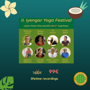festival-3
