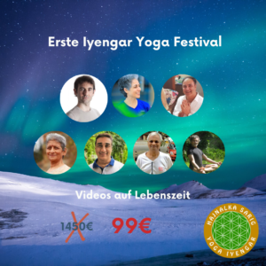 festival-7