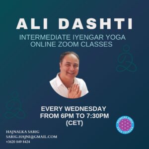 ali-dashti-3
